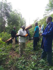 Empowering Communities through Nature-Based Solutions: The GreenLife Approach to Conservation